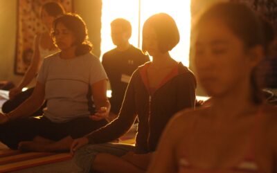 The Yoga of Relationships: A Partners Day Retreat for Nurturing Connection