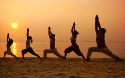 Connecting to the Power of Prana through the Posture of Consciousness and Meditation in Motion