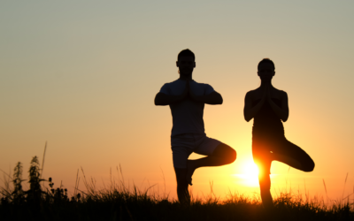 From Reactive Perceiver to the Witnessing Presence that I AM