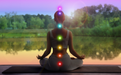 The Chakra System: An Evolutionary Map of Consciousness