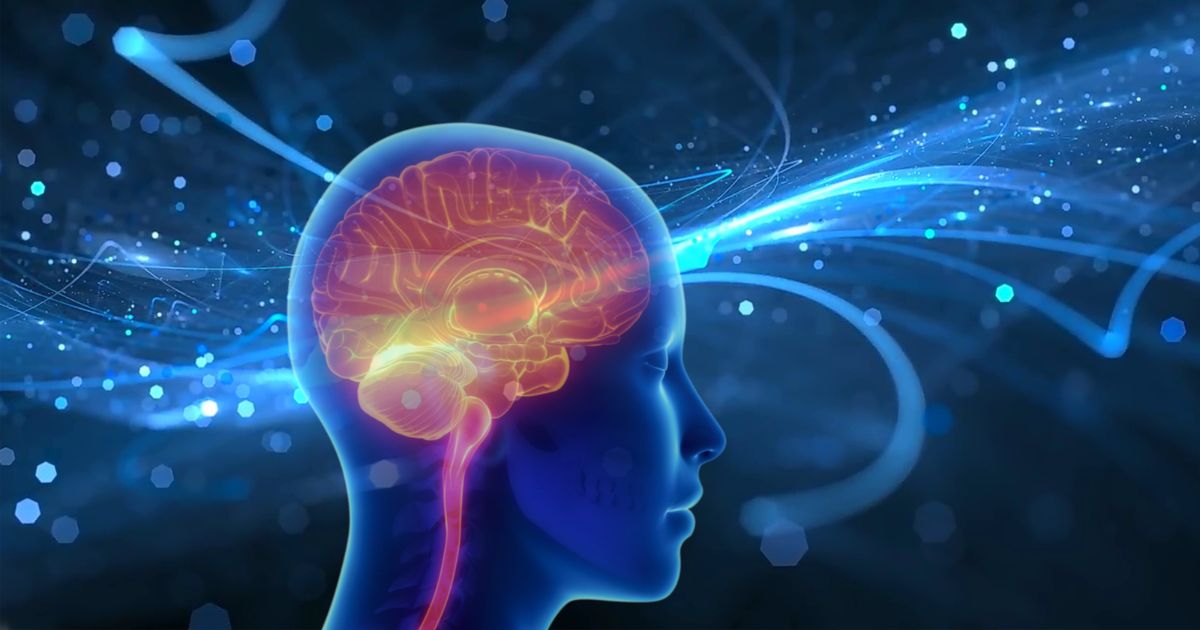 Digital illustration of the brain and nervous system showing neural activity related to stress, relaxation, and nervous system balance.