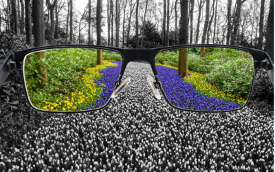 The World Changes Less Than the Reactive Perceiver