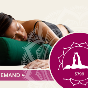 I AM Yoga Therapy™ I: Touch Free Certification